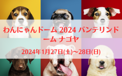 わんにゃんドーム 2024 に出展します！