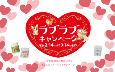 2026年2月14日〜3月14日のスイートな期間中、2個買って超お得な【春のラブラブキャンペーン】開催